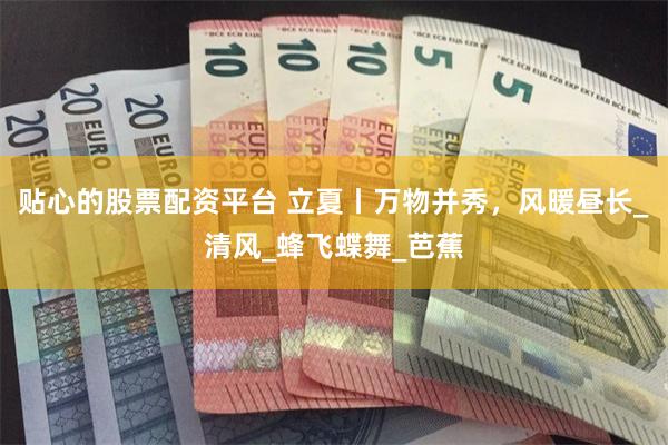 贴心的股票配资平台 立夏丨万物并秀，风暖昼长_清风_蜂飞蝶舞_芭蕉