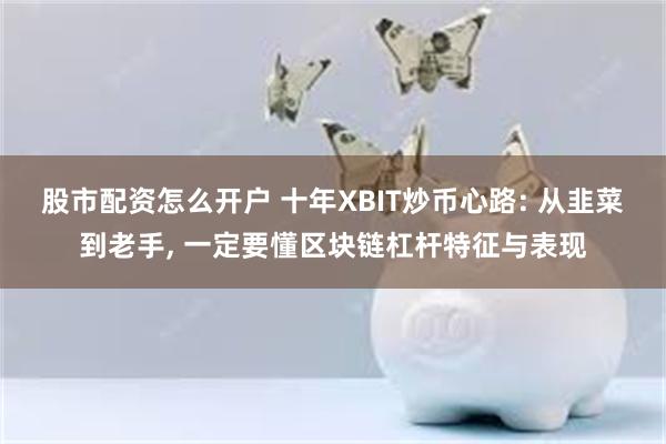 股市配资怎么开户 十年XBIT炒币心路: 从韭菜到老手, 一定要懂区块链杠杆特征与表现