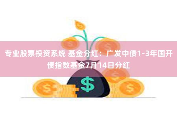 专业股票投资系统 基金分红：广发中债1-3年国开债指数基金7月14日分红
