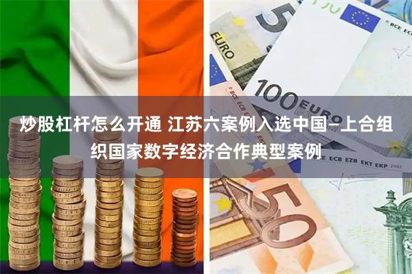 炒股杠杆怎么开通 江苏六案例入选中国—上合组织国家数字经济合作典型案例