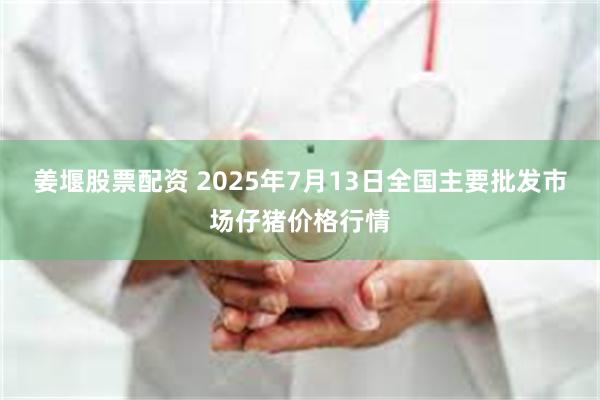 姜堰股票配资 2025年7月13日全国主要批发市场仔猪价格行情