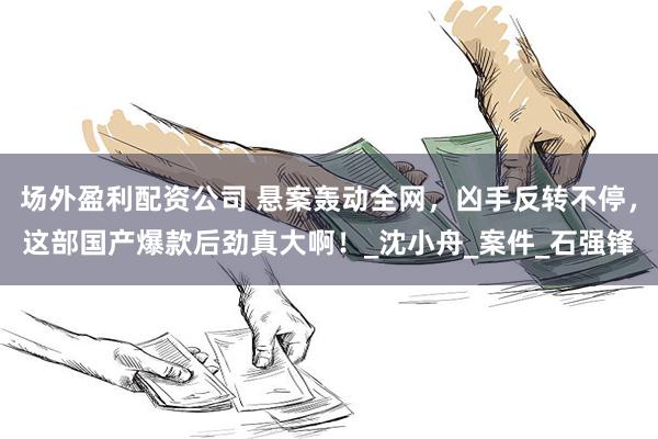 场外盈利配资公司 悬案轰动全网，凶手反转不停，这部国产爆款后劲真大啊！_沈小舟_案件_石强锋
