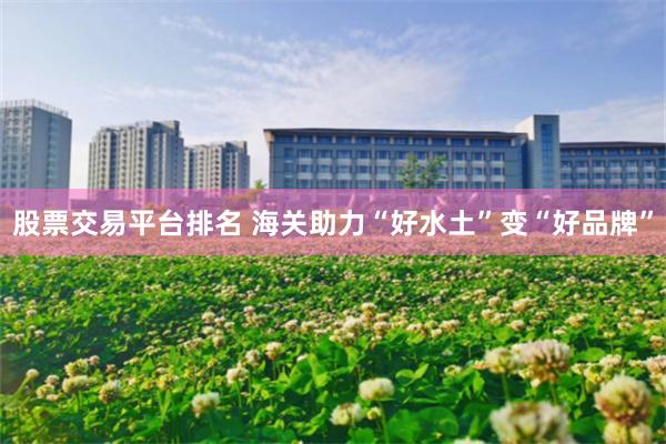 股票交易平台排名 海关助力“好水土”变“好品牌”