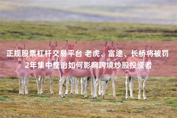 正规股票杠杆交易平台 老虎、富途、长桥将被罚 2年集中整治如何影响跨境炒股投资者