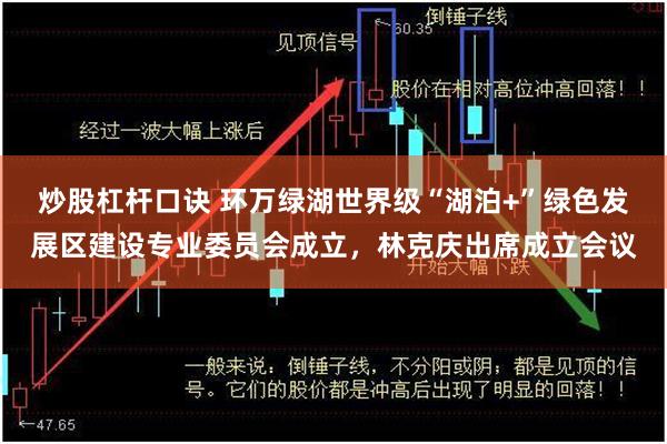 炒股杠杆口诀 环万绿湖世界级“湖泊+”绿色发展区建设专业委员会成立，林克庆出席成立会议