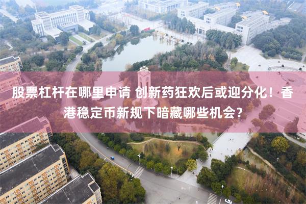 股票杠杆在哪里申请 创新药狂欢后或迎分化！香港稳定币新规下暗藏哪些机会？