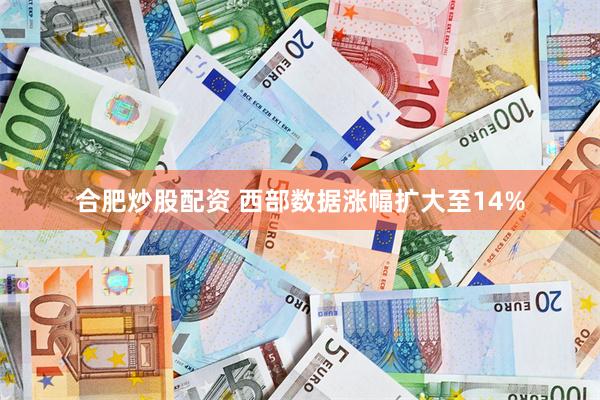 合肥炒股配资 西部数据涨幅扩大至14%