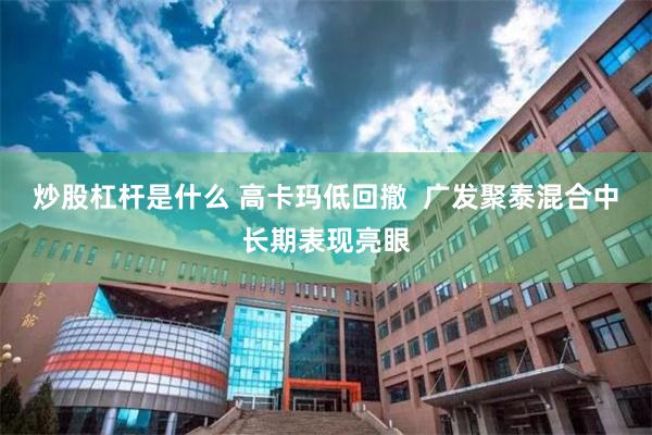 炒股杠杆是什么 高卡玛低回撤  广发聚泰混合中长期表现亮眼