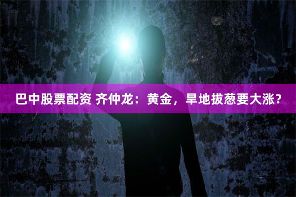 巴中股票配资 齐仲龙：黄金，旱地拔葱要大涨？