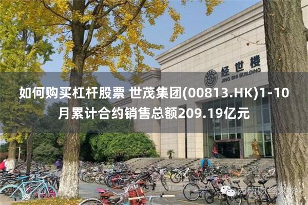 如何购买杠杆股票 世茂集团(00813.HK)1-10月累计合约销售总额209.19亿元