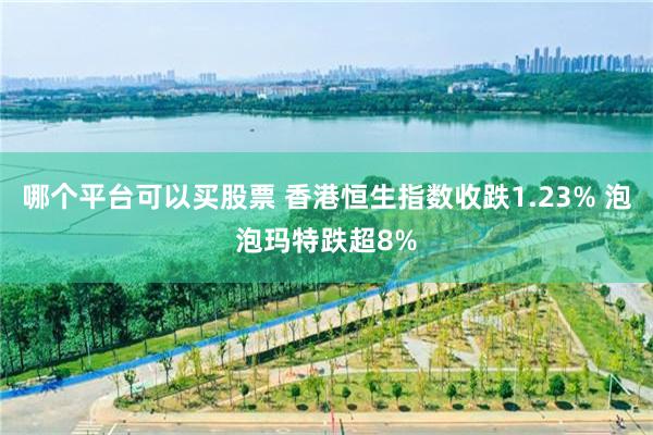 哪个平台可以买股票 香港恒生指数收跌1.23% 泡泡玛特跌超8%