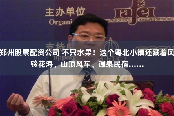 郑州股票配资公司 不只水果！这个粤北小镇还藏着风铃花海、山顶风车、温泉民宿......