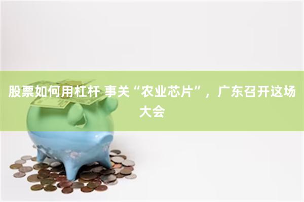 股票如何用杠杆 事关“农业芯片”，广东召开这场大会