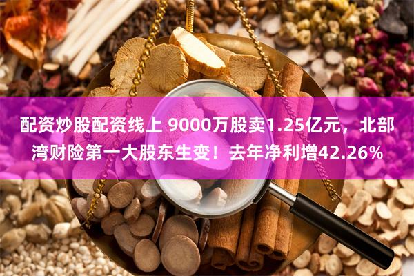 配资炒股配资线上 9000万股卖1.25亿元，北部湾财险第一大股东生变！去年净利增42.26%