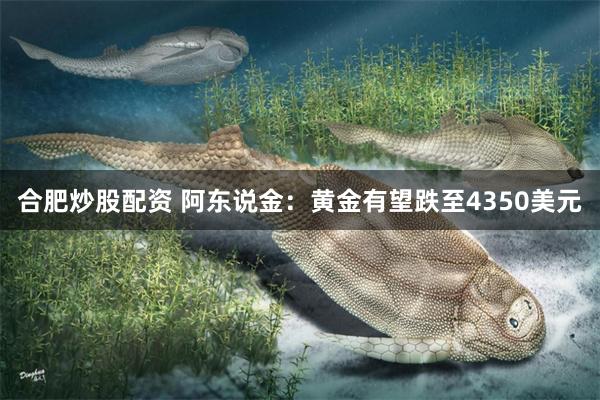 合肥炒股配资 阿东说金：黄金有望跌至4350美元