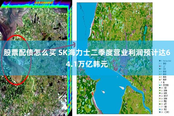 股票配债怎么买 SK海力士二季度营业利润预计达64.1万亿韩元