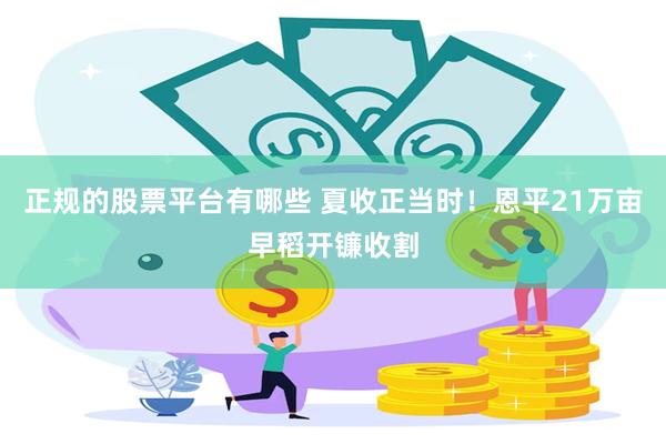 正规的股票平台有哪些 夏收正当时！恩平21万亩早稻开镰收割