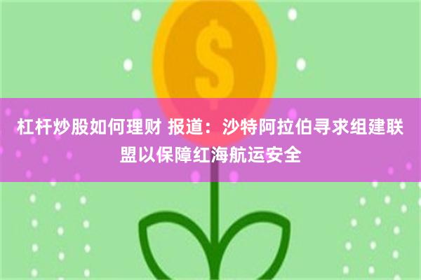 杠杆炒股如何理财 报道：沙特阿拉伯寻求组建联盟以保障红海航运安全