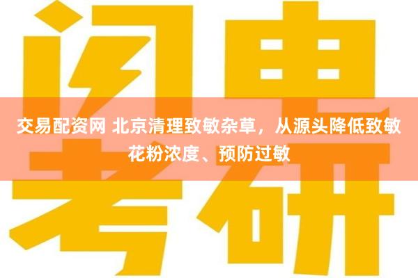 交易配资网 北京清理致敏杂草，从源头降低致敏花粉浓度、预防过敏