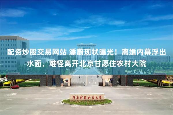 配资炒股交易网站 潘蔚现状曝光！离婚内幕浮出水面，难怪离开北京甘愿住农村大院