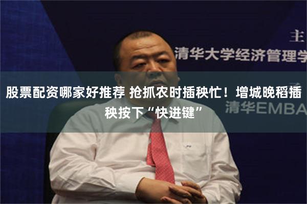 股票配资哪家好推荐 抢抓农时插秧忙！增城晚稻插秧按下“快进键”