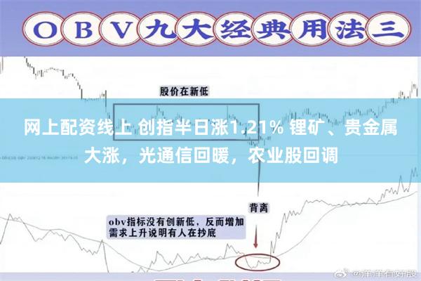 网上配资线上 创指半日涨1.21% 锂矿、贵金属大涨,光通信回暖,农业股回调