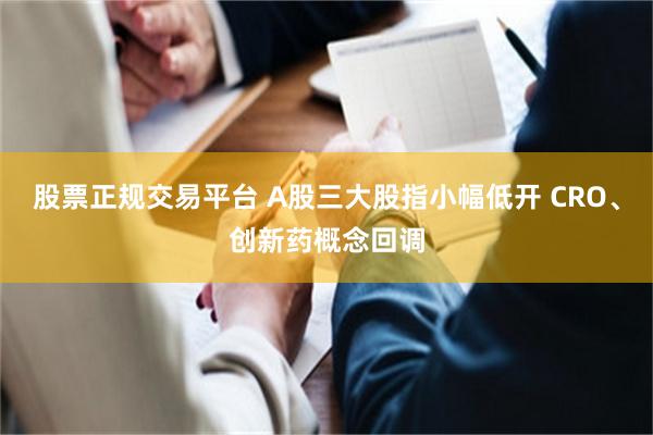 股票正规交易平台 A股三大股指小幅低开 CRO、创新药概念回调