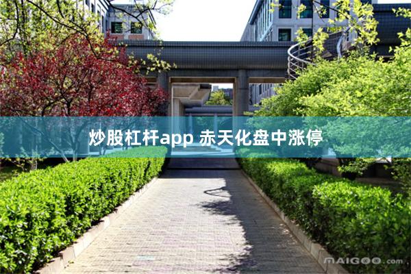 炒股杠杆app 赤天化盘中涨停