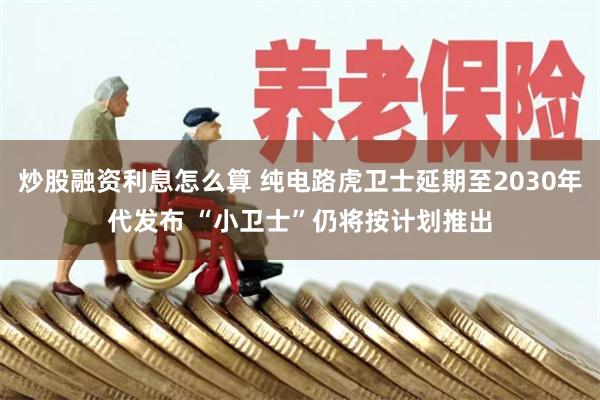 炒股融资利息怎么算 纯电路虎卫士延期至2030年代发布 “小卫士”仍将按计划推出