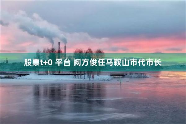 股票t+0 平台 阙方俊任马鞍山市代市长