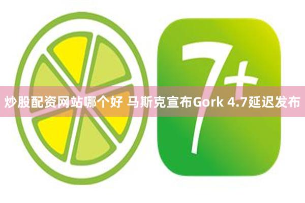 炒股配资网站哪个好 马斯克宣布Gork 4.7延迟发布