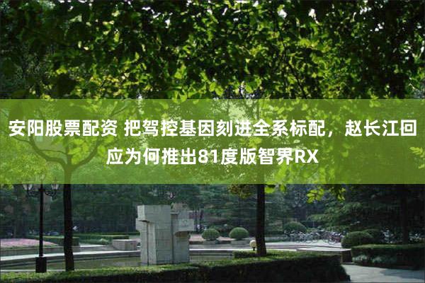 安阳股票配资 把驾控基因刻进全系标配，赵长江回应为何推出81度版智界RX