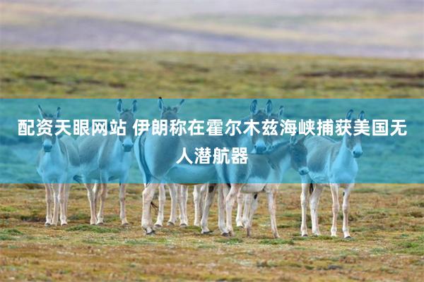 配资天眼网站 伊朗称在霍尔木兹海峡捕获美国无人潜航器
