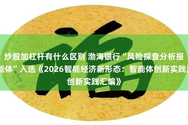 炒股加杠杆有什么区别 渤海银行“风险探查分析报告智能体”入选《2026智能经济新形态：智能体创新实践汇编》