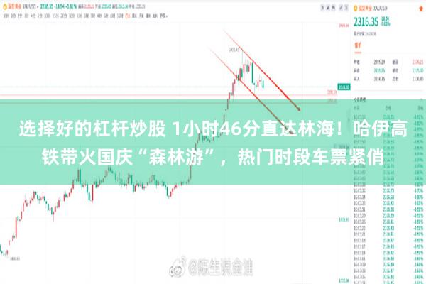 选择好的杠杆炒股 1小时46分直达林海!哈伊高铁带火国庆“森林游”,热门时段车票紧俏