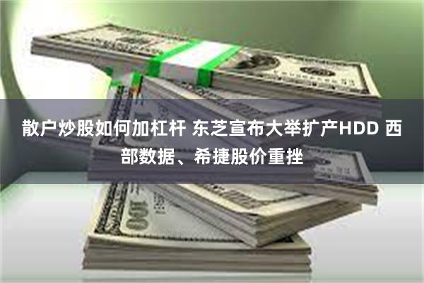 散户炒股如何加杠杆 东芝宣布大举扩产HDD 西部数据、希捷股价重挫