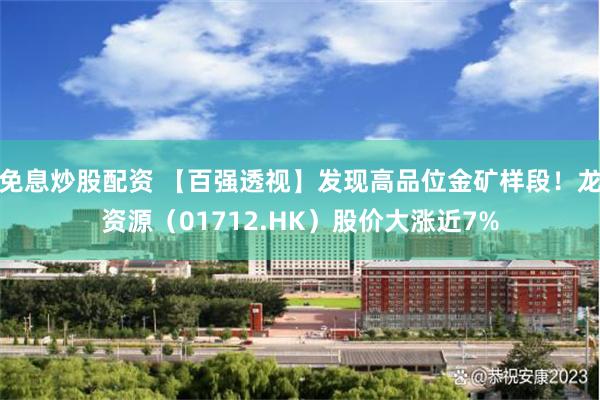 免息炒股配资 【百强透视】发现高品位金矿样段！龙资源（01712.HK）股价大涨近7%