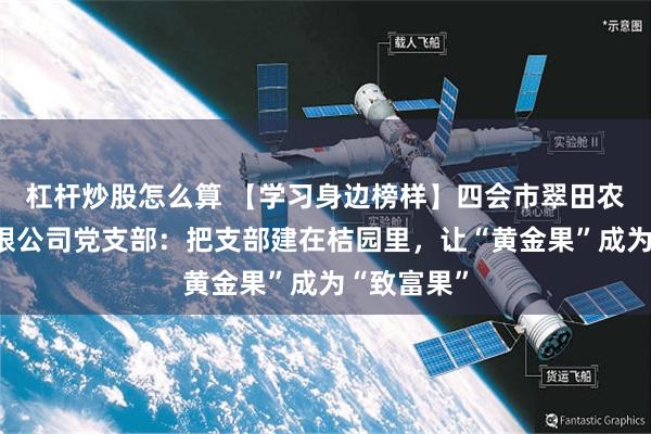 杠杆炒股怎么算 【学习身边榜样】四会市翠田农业科技有限公司党支部：把支部建在桔园里，让“黄金果”成为“致富果”