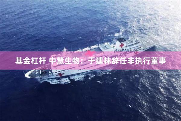 基金杠杆 中慧生物：于建林辞任非执行董事